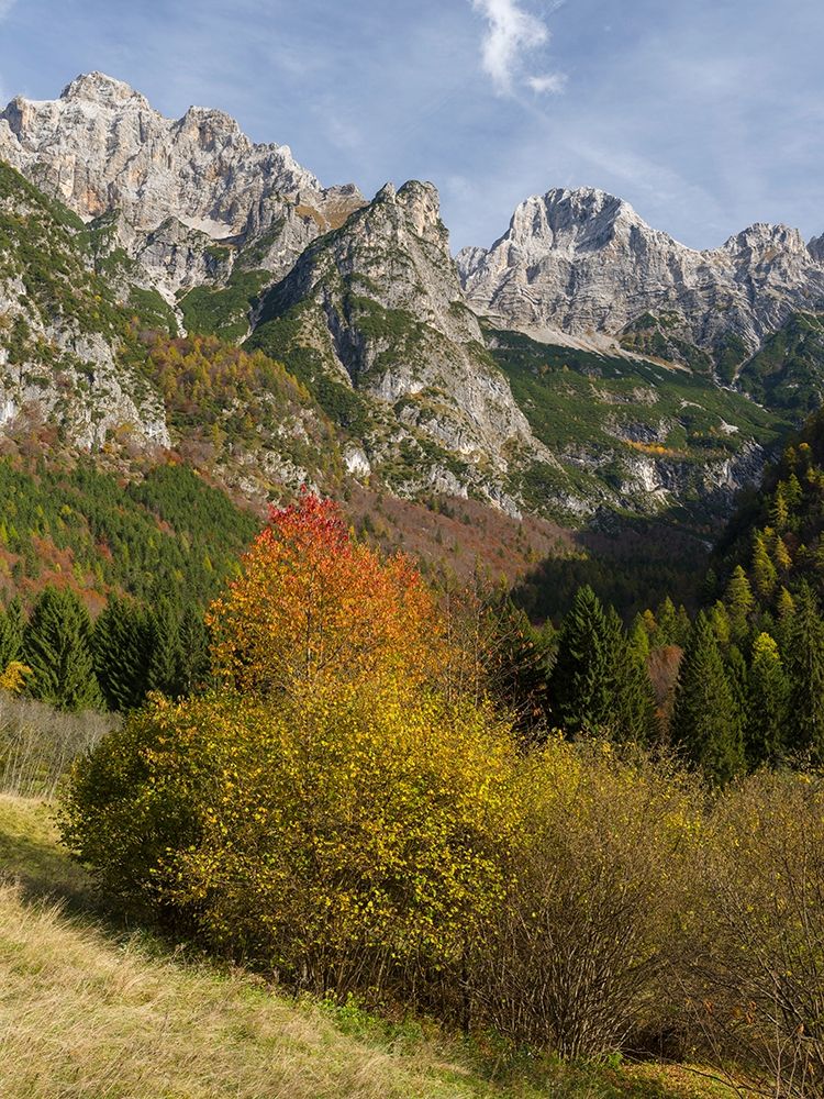 Peaks of Dolomiti di Brenta high above Val dAlgone Dolomiti di Brenta  Italy-Trentino